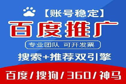 竞价端口开户全攻略，案例分析